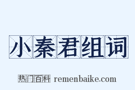 小秦君组词是什么意思的图片